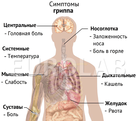 симптомы гриппа