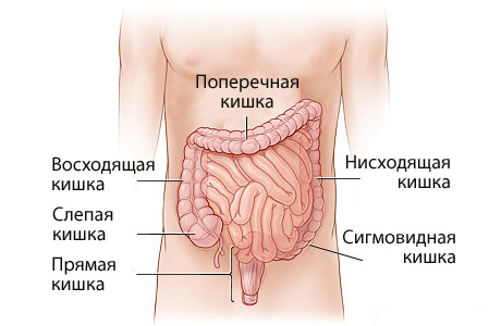 синдром раздраженного кишечника